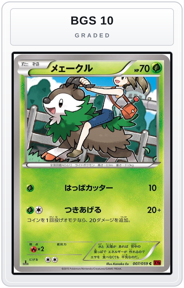 Graded - Skiddo — BGS 10 graded overlay