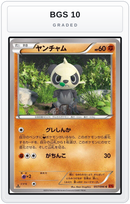 Graded - Pancham — BGS 10 graded overlay
