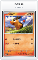 Graded - Tepig — BGS 10 graded overlay