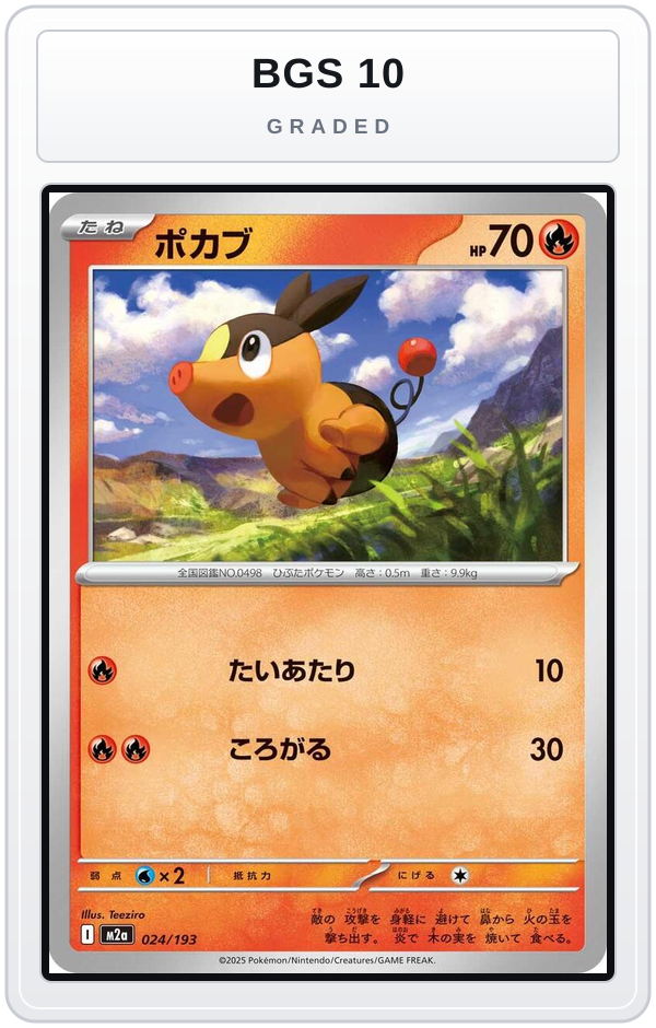 Graded - Tepig — BGS 10 graded overlay