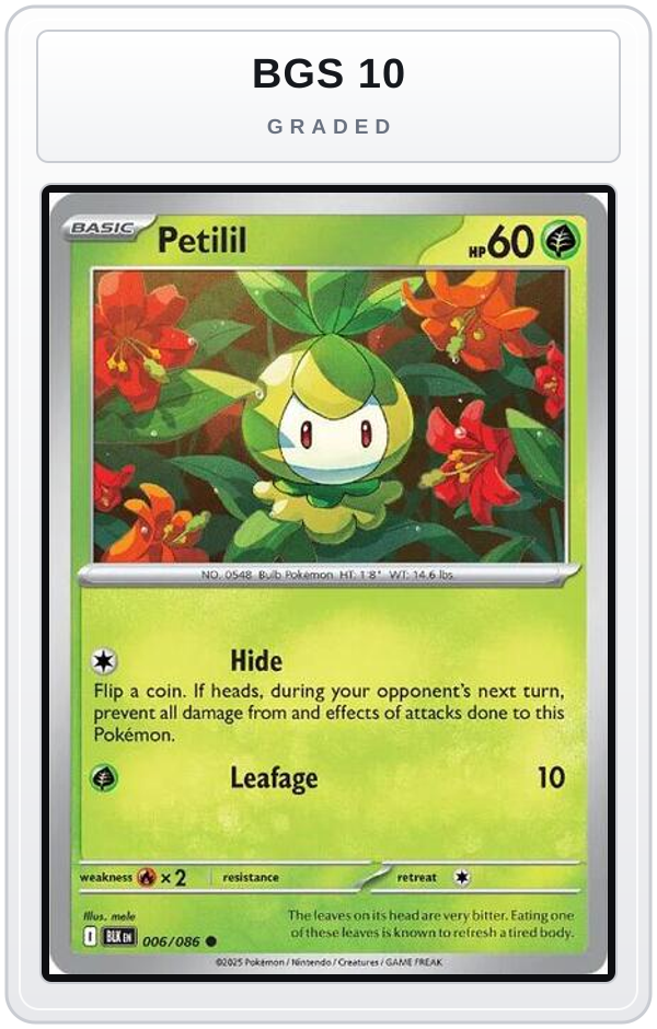 Graded - Petilil — BGS 10 graded overlay