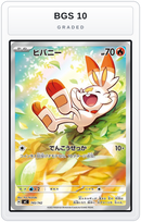 Graded - Scorbunny -745/742 — BGS 10 graded overlay