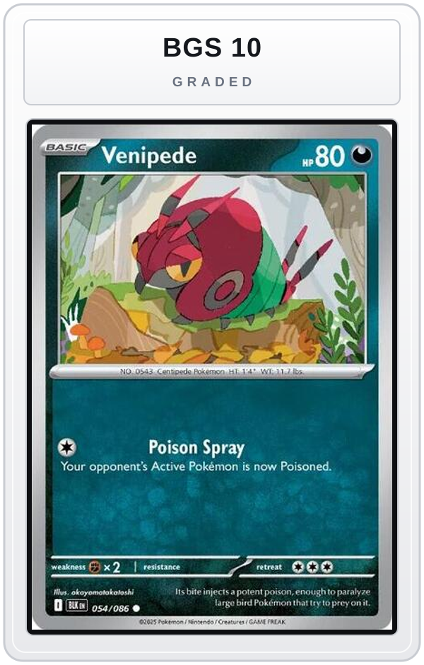 Graded - Venipede — BGS 10 graded overlay