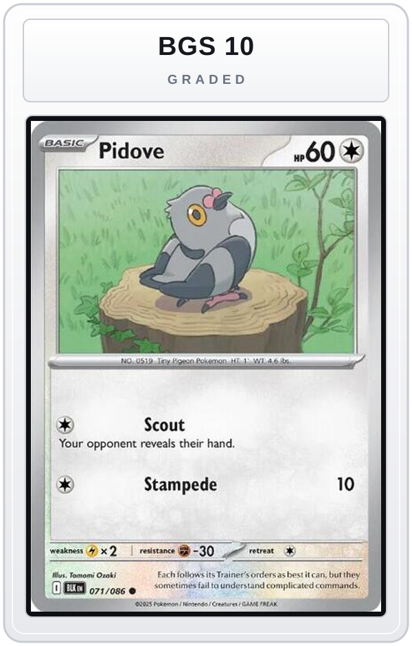Graded - Pidove — BGS 10 graded overlay