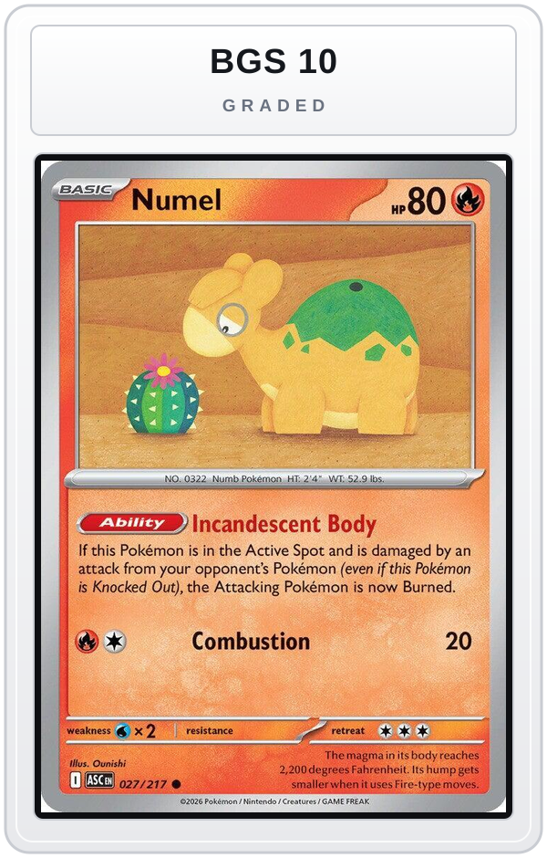 Graded - Numel - 027/217 — BGS 10 graded overlay
