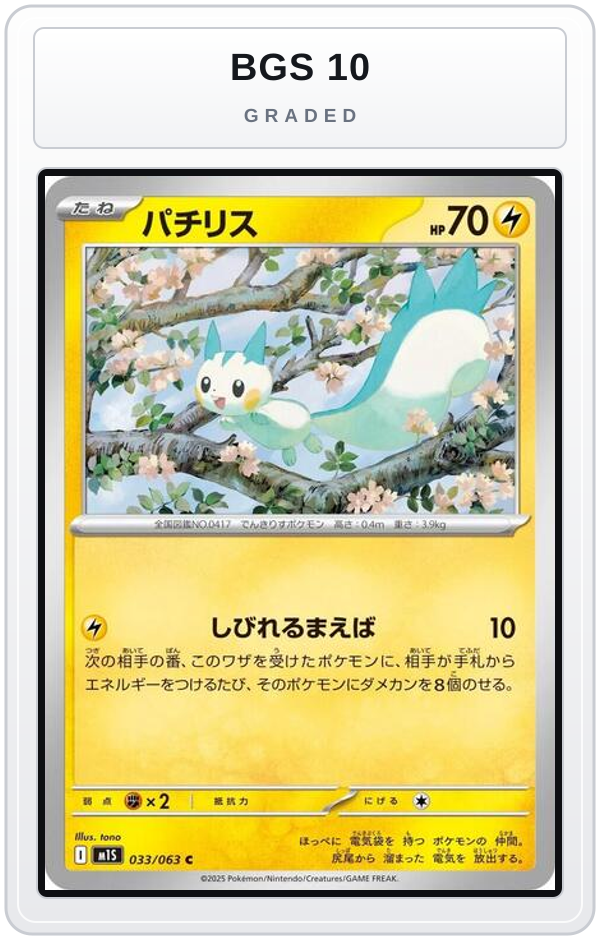 Graded - Pachirisu — BGS 10 graded overlay