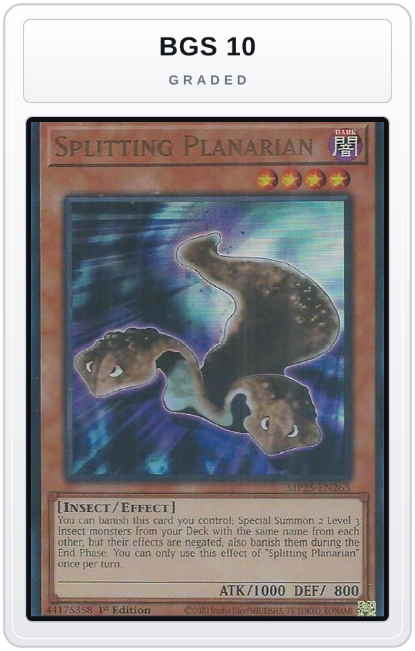 Graded - Splitting Planarian — BGS 10 graded overlay