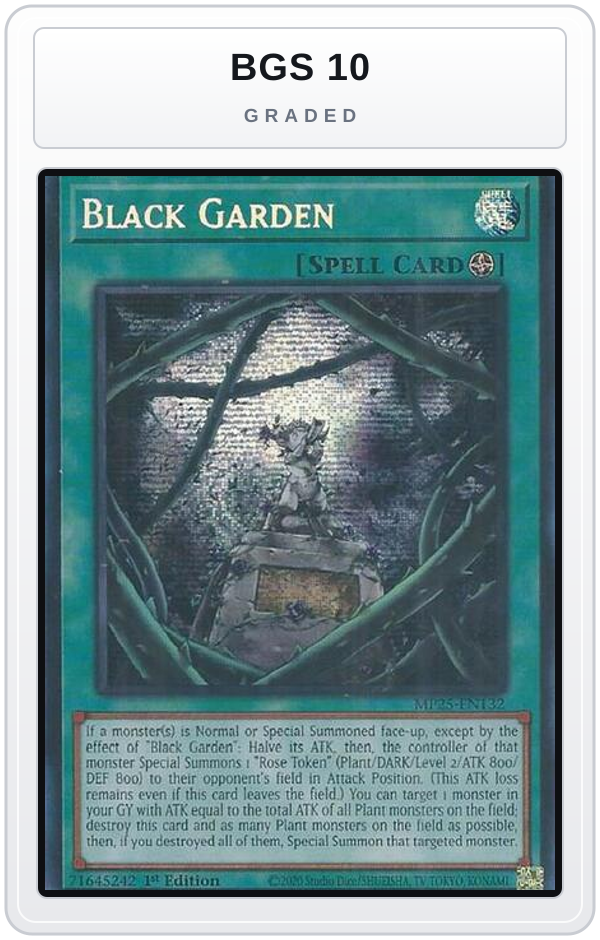 Graded - Black Garden — BGS 10 graded overlay