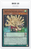 Graded - Majespecter Porcupine - Yamarashi — BGS 10 graded overlay