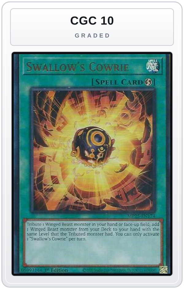 Graded - Swallow's Cowrie — CGC 10 graded overlay