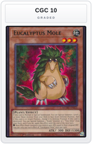 Graded - Eucalyptus Mole — CGC 10 graded overlay