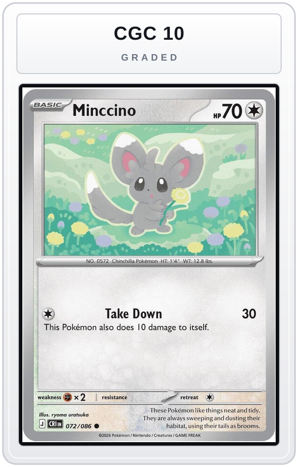 Graded - Minccino — CGC 10 graded overlay