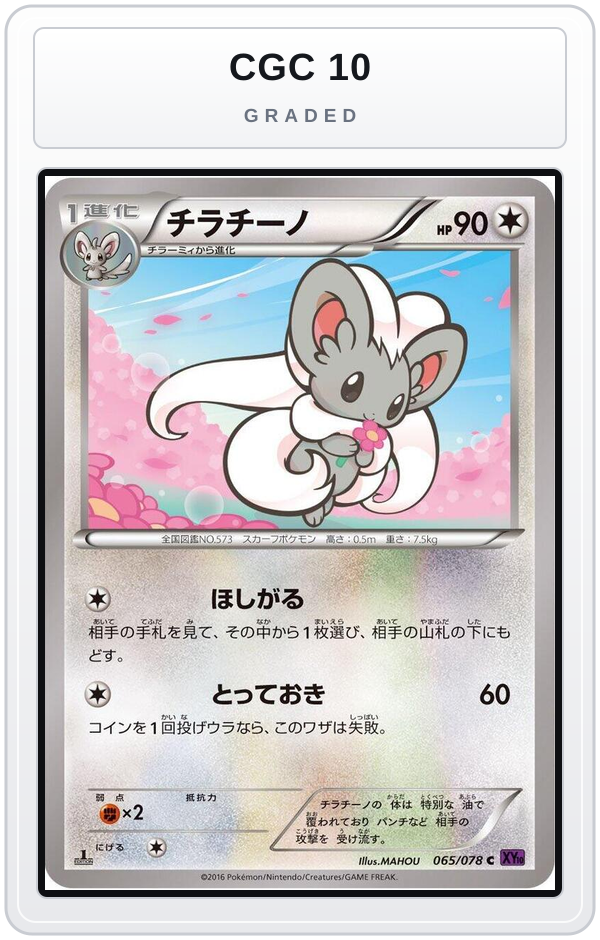 Graded - Cinccino — CGC 10 graded overlay