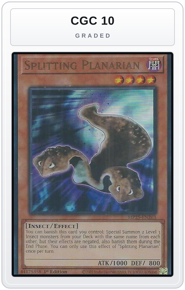 Graded - Splitting Planarian — CGC 10 graded overlay