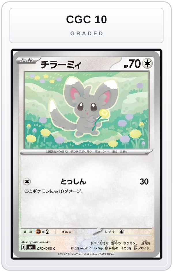 Graded - Minccino — CGC 10 graded overlay