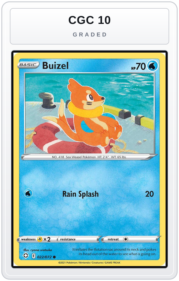Graded - Buizel — CGC 10 graded overlay
