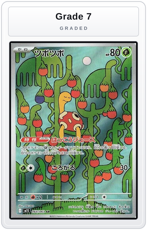 Graded - Shuckle - 064/063 — Grade 7 graded overlay