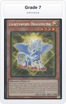 Graded - Lightsworn Dragonling — Grade 7 graded overlay