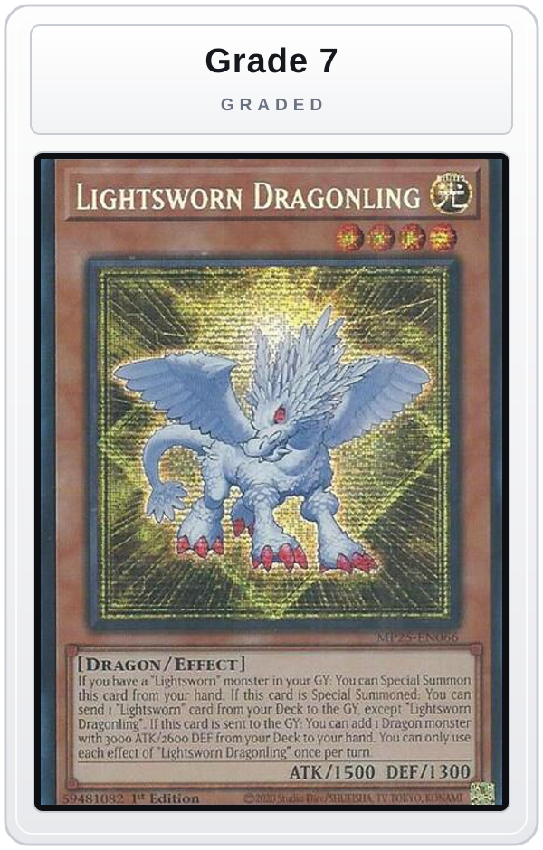 Graded - Lightsworn Dragonling — Grade 7 graded overlay