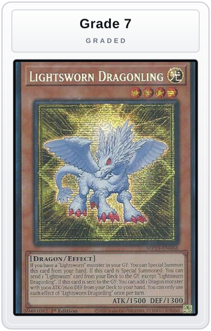 Graded - Lightsworn Dragonling — Grade 7 graded overlay