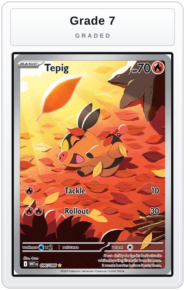 Graded - Tepig - 096/086 — Grade 7 graded overlay