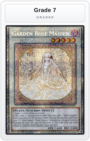 Graded - Garden Rose Maiden — Grade 7 graded overlay