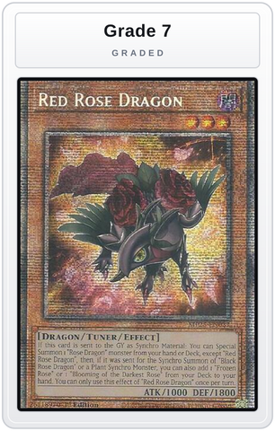 Graded - Red Rose Dragon — Grade 7 graded overlay