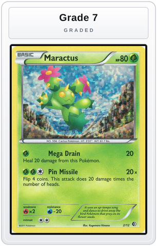 Graded - Maractus - 2/12 — Grade 7 graded overlay