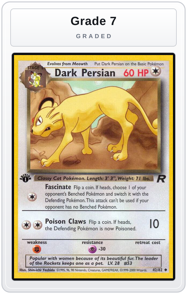 Graded - Dark Persian — Grade 7 graded overlay