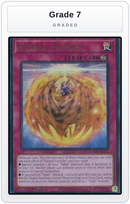 Graded - Eternal Favorite — Grade 7 graded overlay