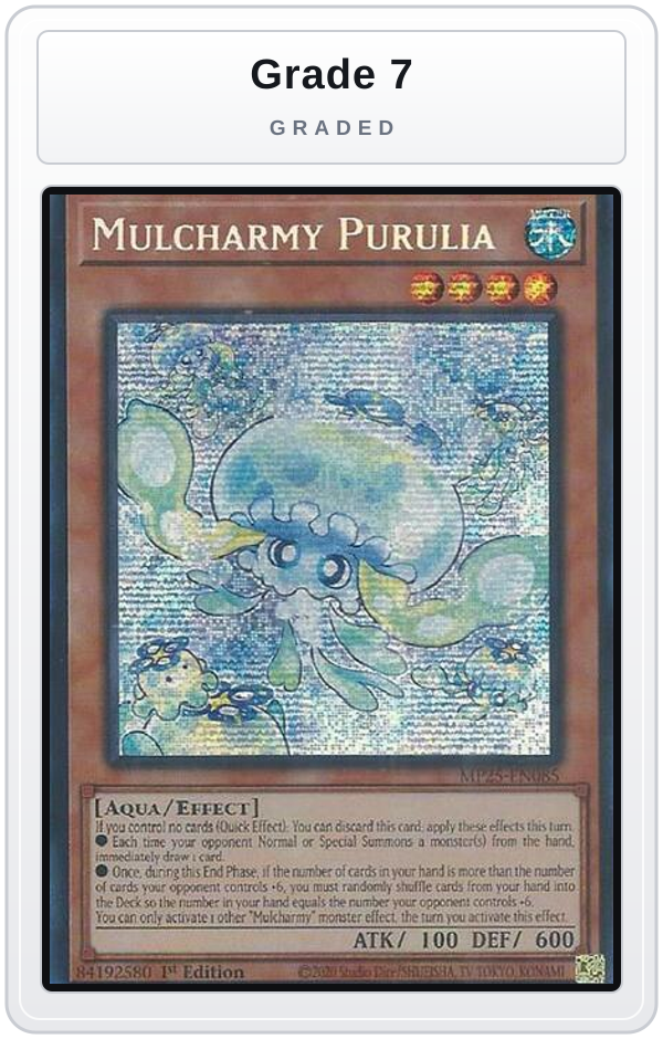 Graded - Mulcharmy Purulia — Grade 7 graded overlay