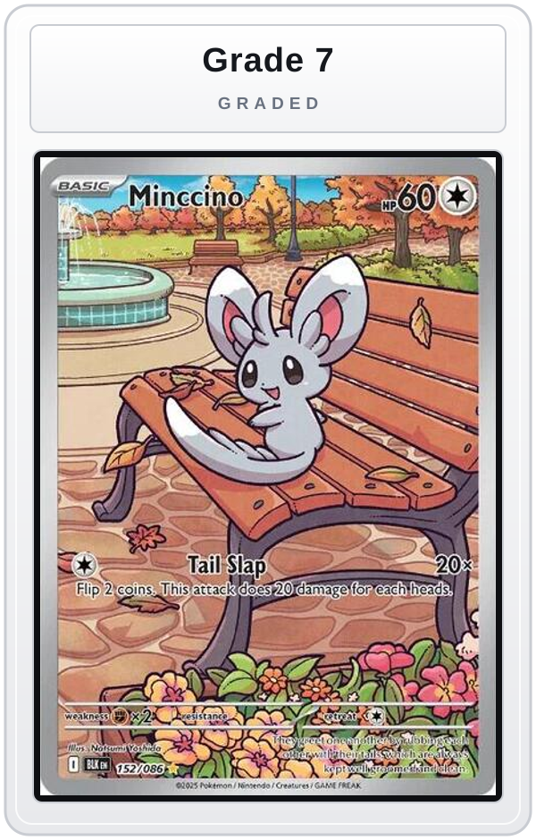Graded - Minccino - 152/086 — Grade 7 graded overlay