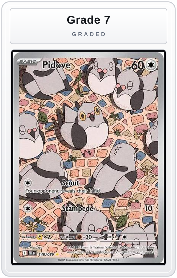 Graded - Pidove - 148/086 — Grade 7 graded overlay