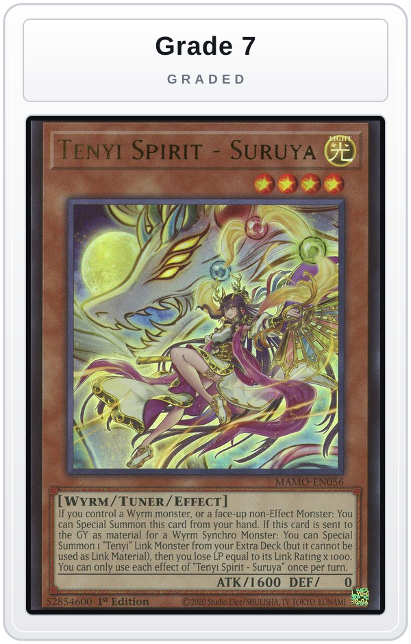 Graded - Tenyi Spirit - Suruya — Grade 7 graded overlay