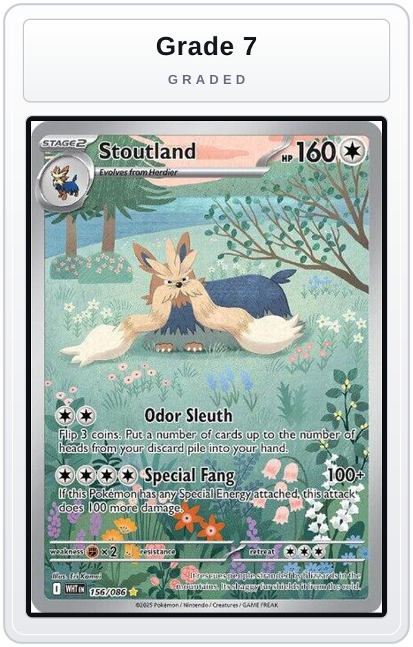 Graded - Stoutland - 156/086 — Grade 7 graded overlay