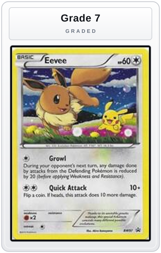 Graded - Eevee - BW97 — Grade 7 graded overlay