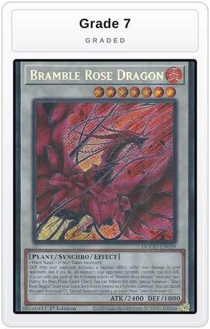 Graded - Bramble Rose Dragon — Grade 7 graded overlay