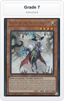 Graded - Rucia of the White Forest — Grade 7 graded overlay