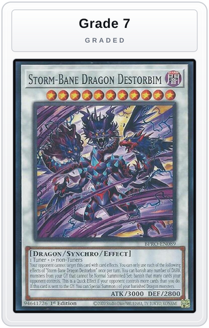 Graded - Storm-Bane Dragon Destorbim — Grade 7 graded overlay