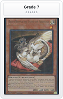 Graded - Buster Whelp of the Destruction Swordsman — Grade 7 graded overlay