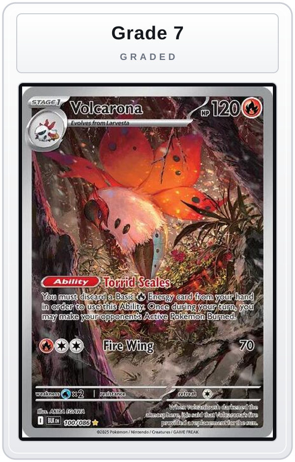 Graded - Volcarona - 100/086 — Grade 7 graded overlay