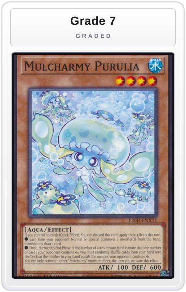 Graded - Mulcharmy Purulia — Grade 7 graded overlay