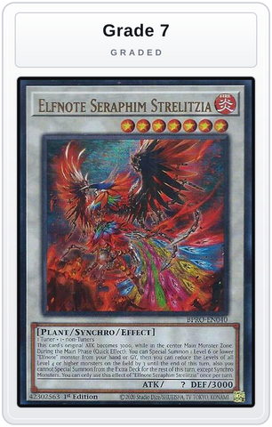 Graded - Elfnote Seraphim Strelitzia — Grade 7 graded overlay