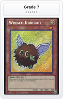 Graded - Winged Kuriboh — Grade 7 graded overlay