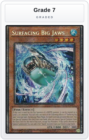Graded - Surfacing Big Jaws — Grade 7 graded overlay