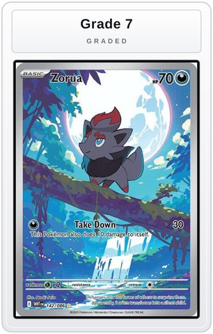 Graded - Zorua - 142/086 — Grade 7 graded overlay