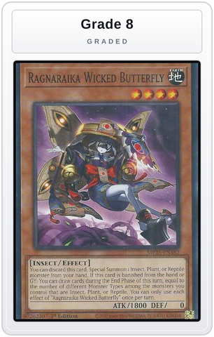 Graded - Ragnaraika Wicked Butterfly — Grade 8 graded overlay