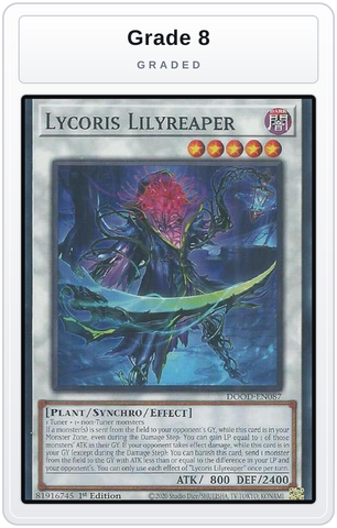 Graded - Lycoris Lilyreaper — Grade 8 graded overlay