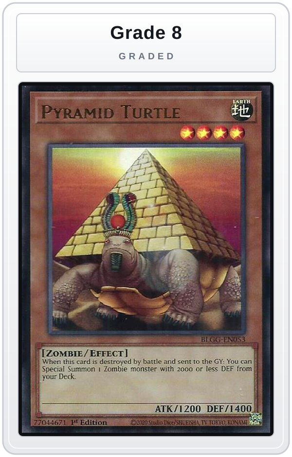 Graded - Pyramid Turtle — Grade 8 graded overlay