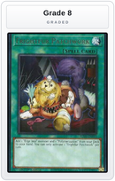 Graded - Frightfur Patchwork — Grade 8 graded overlay